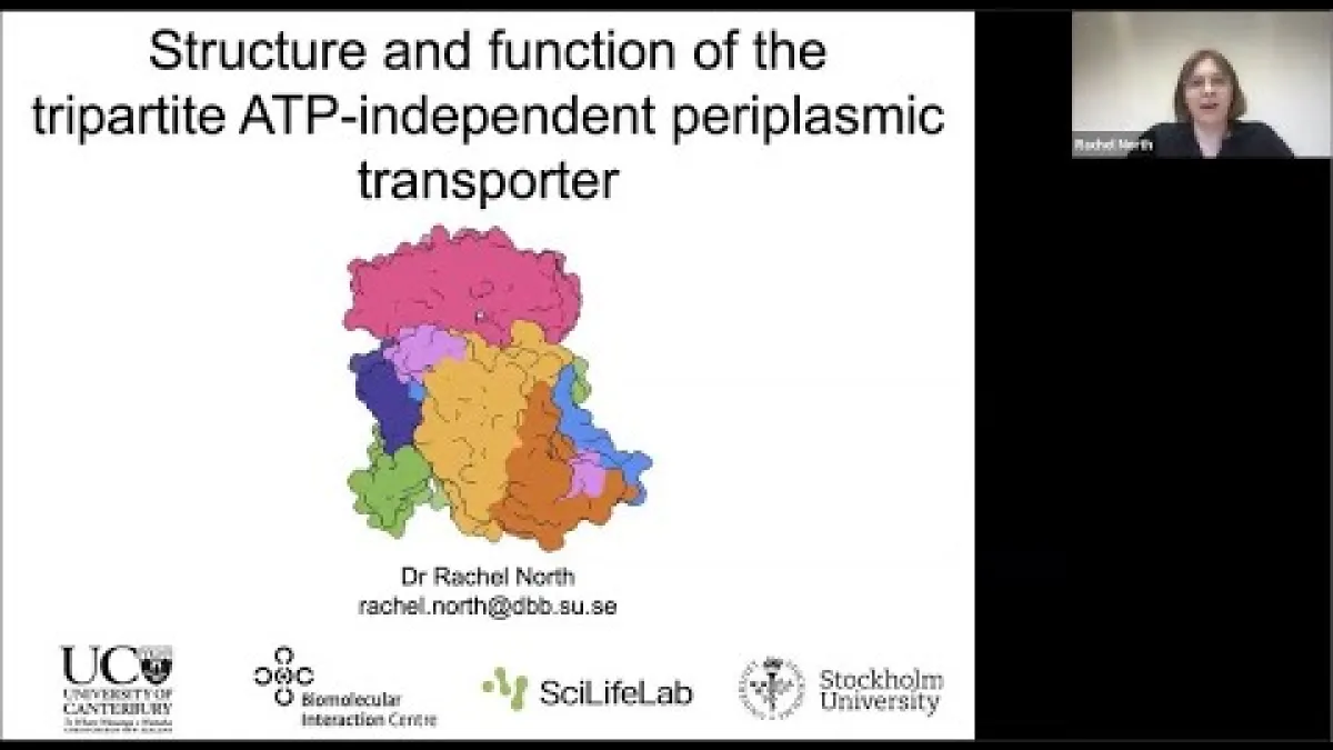 Preview image for the video "Recorded BSB Seminar - Rachel North".