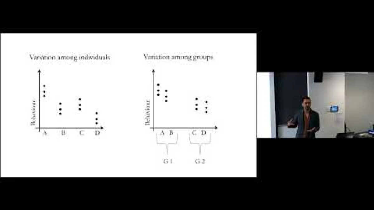 Preview image for the video "Recorded EE Webinar - Weliton Costa".