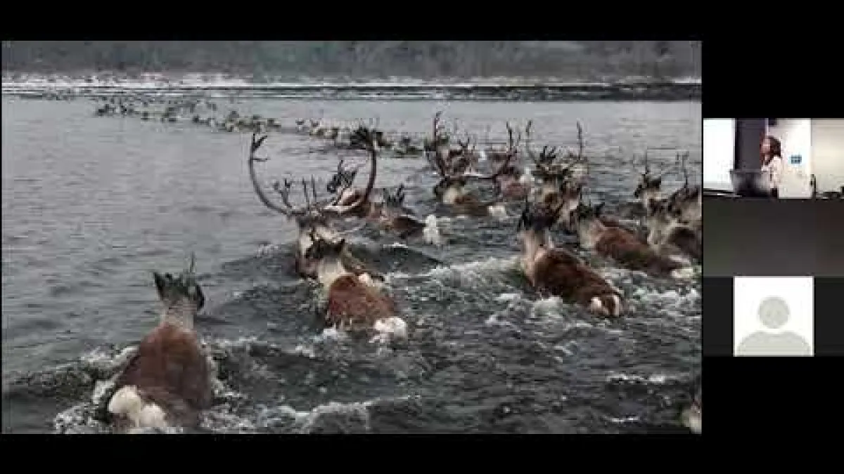 Preview image for the video "Recorded EE Webinar - Fonti Kar".