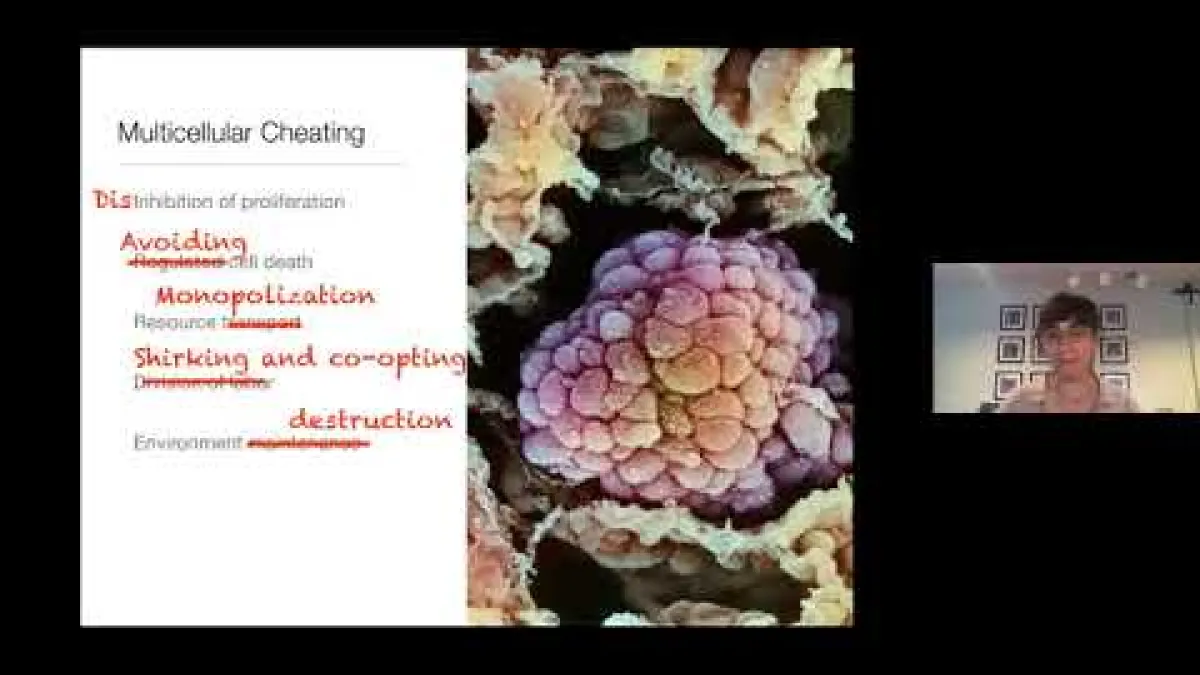 Preview image for the video "Recorded seminar (Athena Aktipis)".