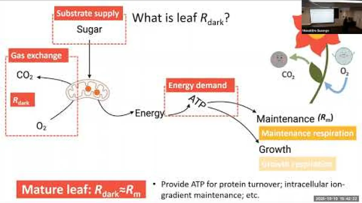 Preview image for the video "Recorded PS PhD Exit Seminar - Xuan Hu".