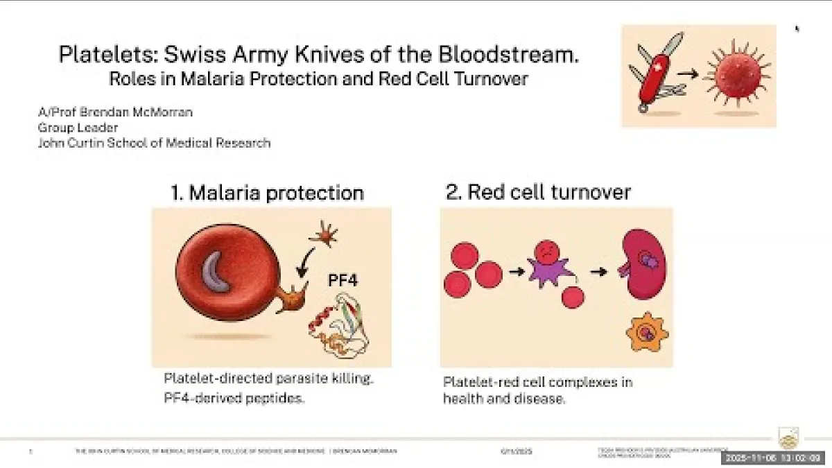 Preview image for the video "Recorded BSB Seminar - Brendan McMorran".