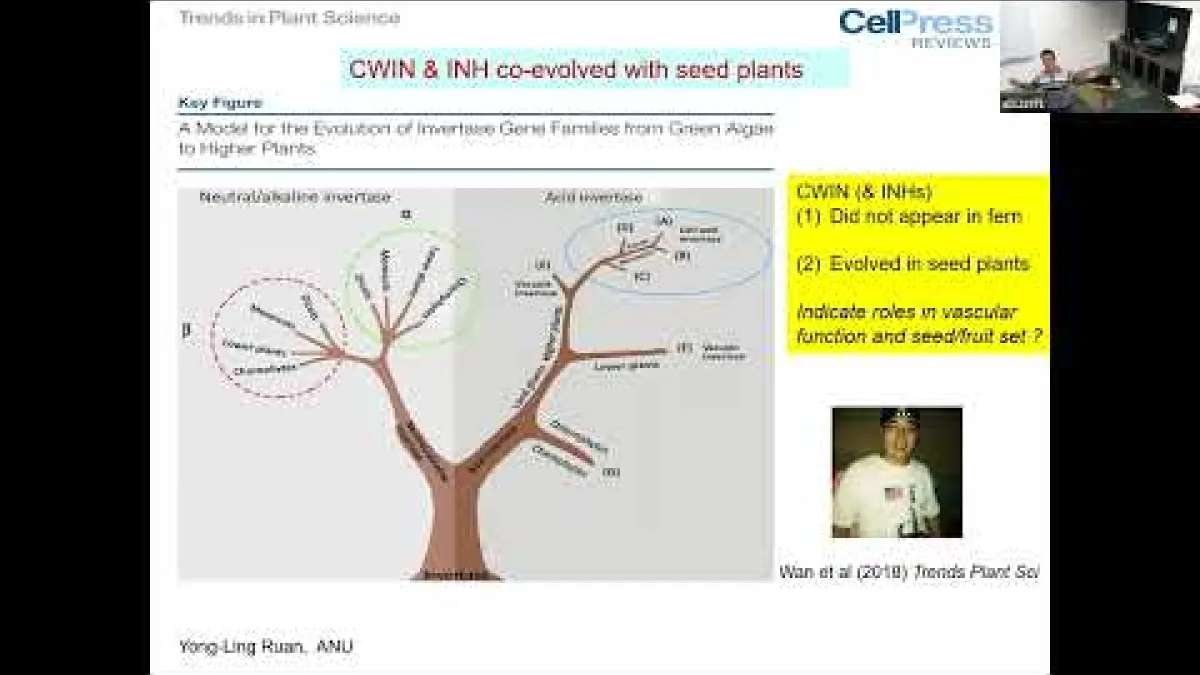 Preview image for the video "Recorded PS seminar - Prof Yong-Ling Ruan".
