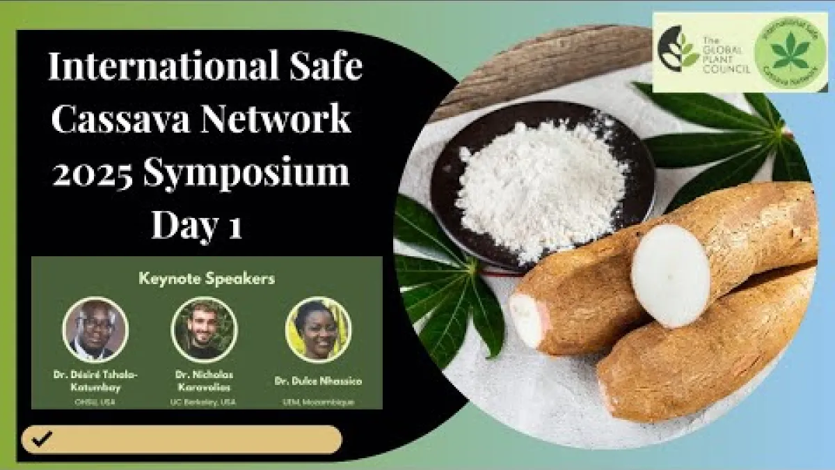 Preview image for the video "International Safe Cassava Network 2025 Symposium - Day 1".