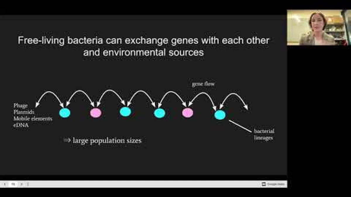 Preview image for the video "Recorded seminar - Shelbi Russell".