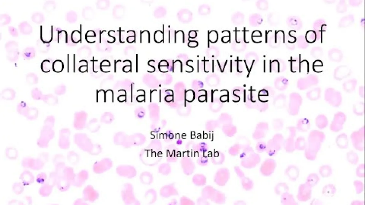 Preview image for the video "Recorded BSB Seminar - Simone Babij".