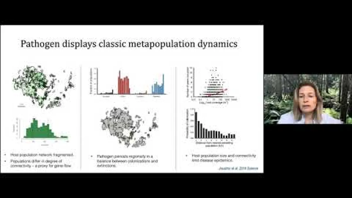 Preview image for the video "Recorded EE Panel Webinar - 27 May 21".