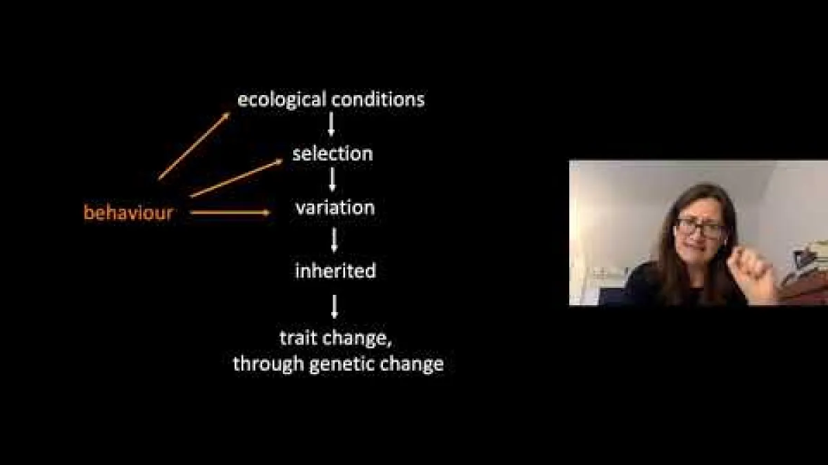 Preview image for the video "Recorded EE Webinar - Rebecca Kilner".