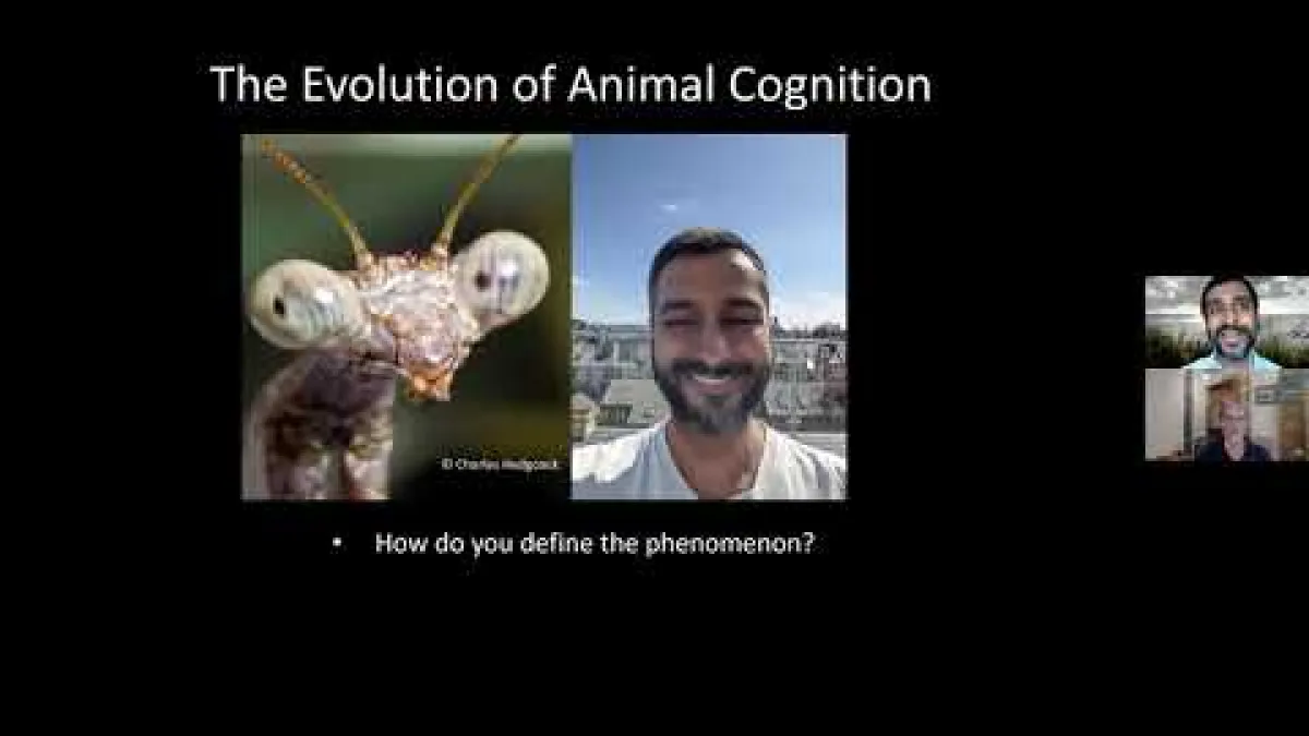 Preview image for the video "Recorded seminar Vivek EE Seminar".