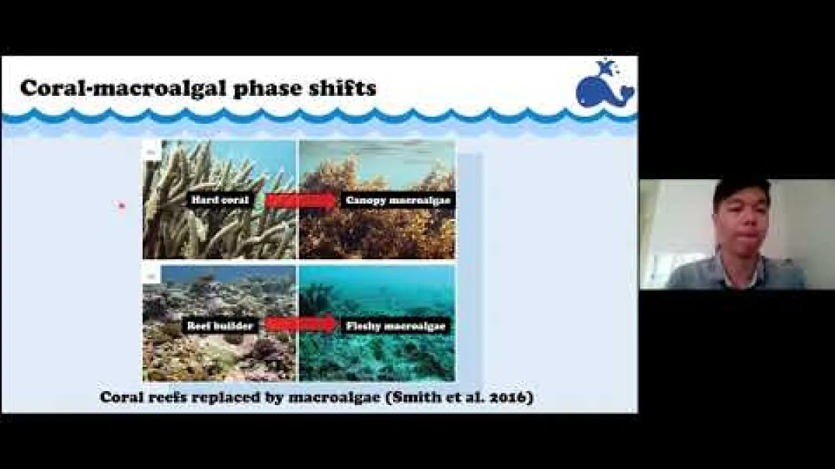 Preview image for the video "Recorded EE Webinar -  Alex Chen".
