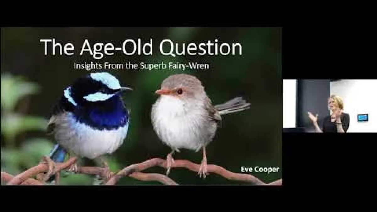 Preview image for the video "Recorded EE Seminar - Eve Cooper".