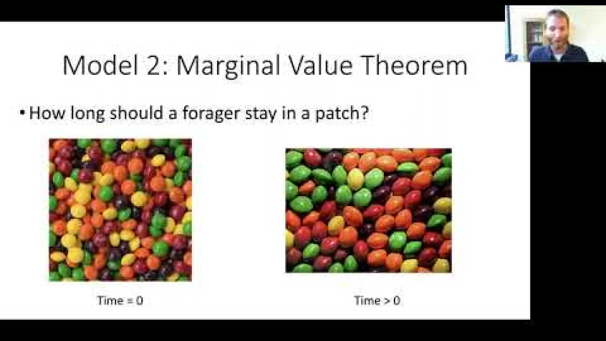 Preview image for the video "Recorded seminar Damien Farine".