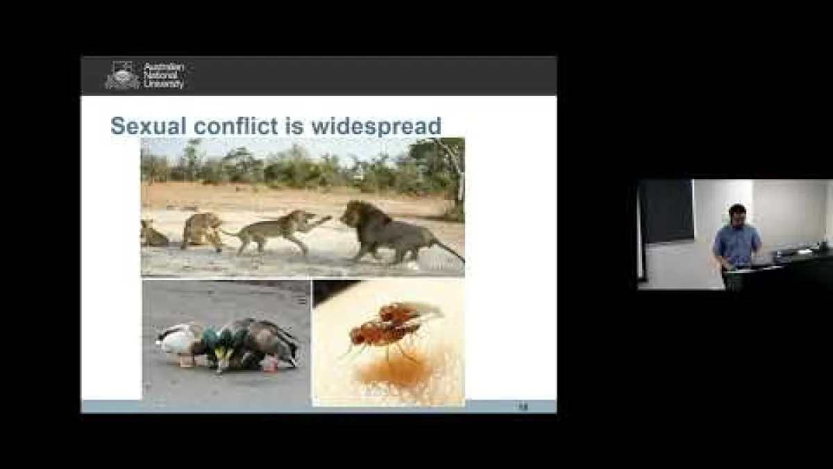 Preview image for the video "Recorded EE Seminar - Zhuzhi Zhang".