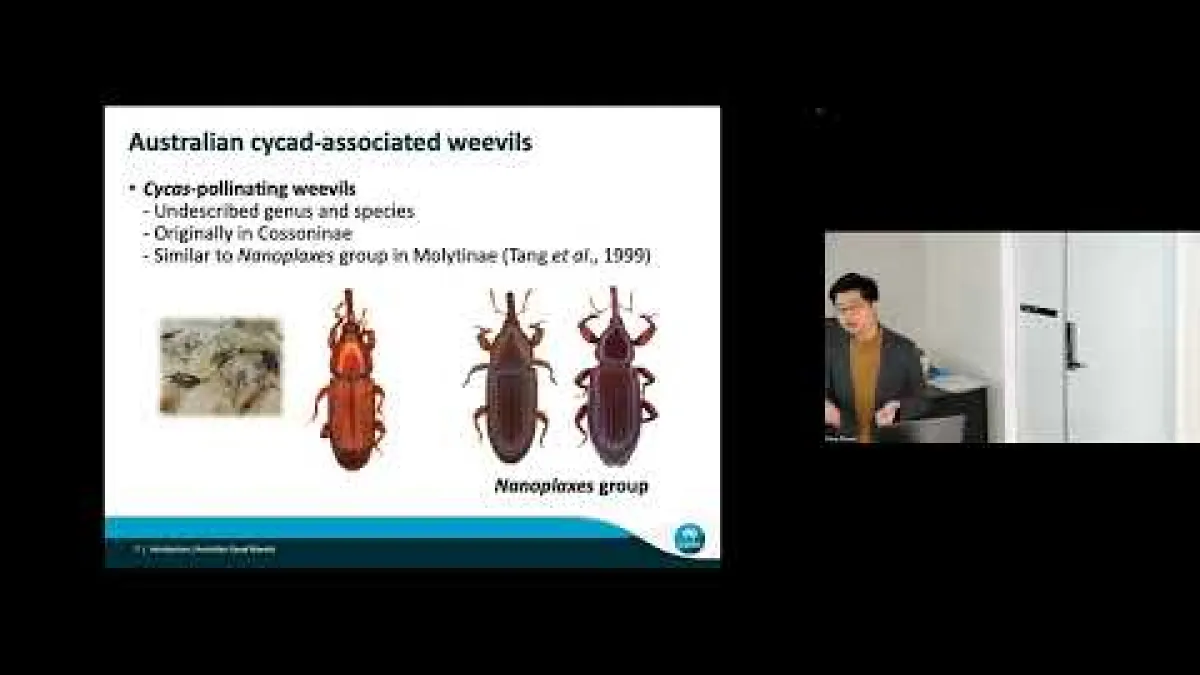 Preview image for the video "Recorded EE Seminar - Yun Hsiao".