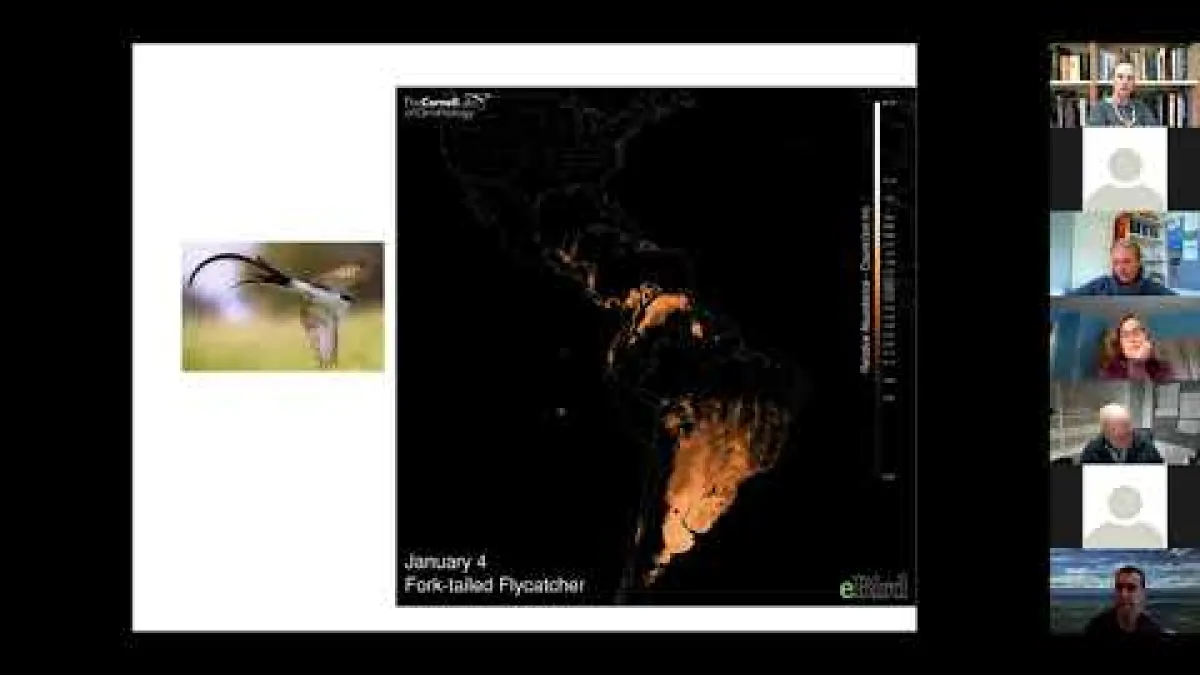 Preview image for the video "Recorded Webinar - 18 March 2021".