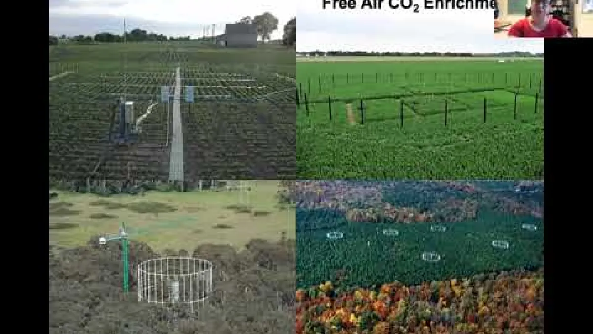 Preview image for the video "Recorded seminar - Danielle Way".