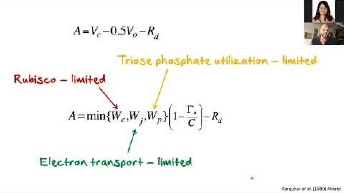 Preview image for the video "Recorded seminar (Florian Busch)".