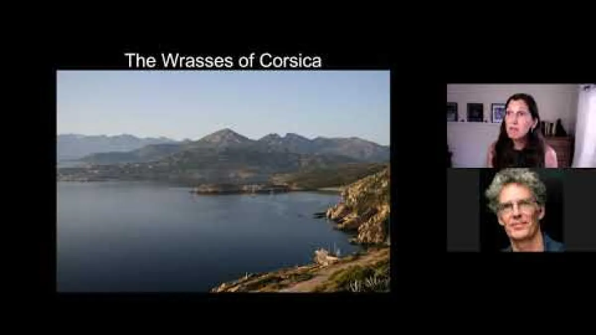 Preview image for the video "Recorded EE Webinar - Suzanne Alonzo".