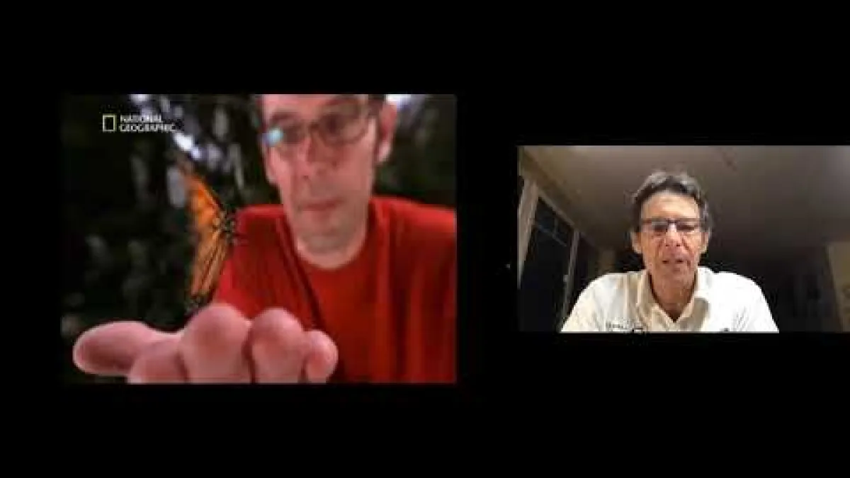 Preview image for the video "Recorded EE Webinar - Wikelski".