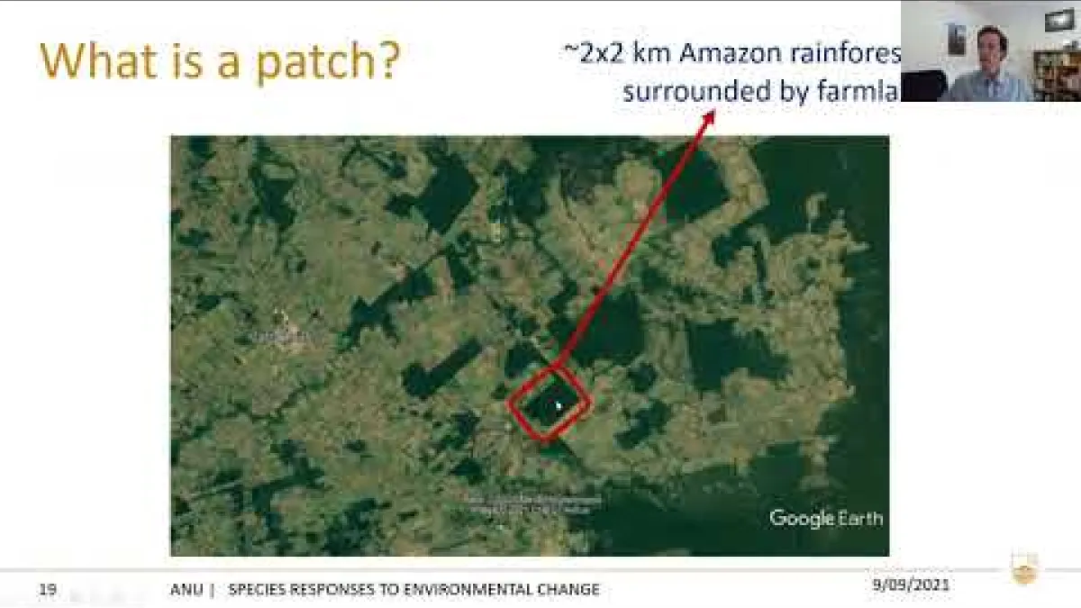 Preview image for the video "Recorded seminar - Ben Scheele".