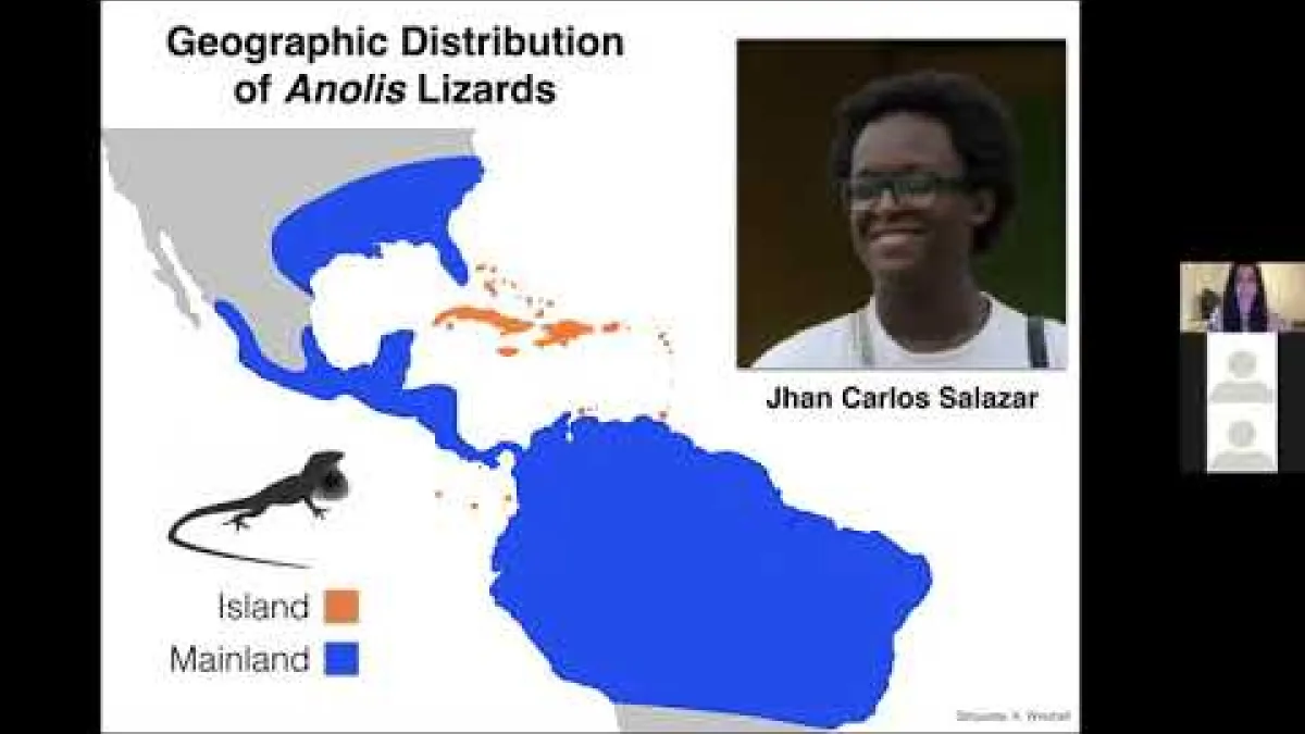 Preview image for the video "Recorded Webinar - 29 April 2021".