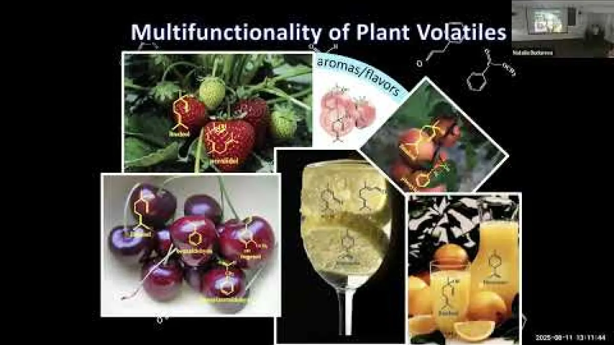 Preview image for the video "Recorded Joint PS &amp; EE Seminar - Natalia Dudareva".