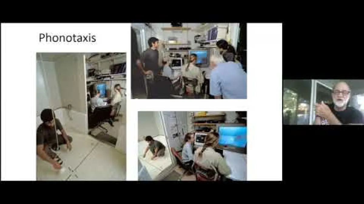 Preview image for the video "Recorded seminar (Mike Ryan)".