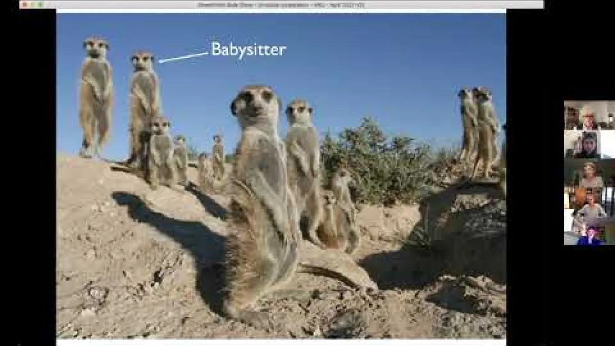 Preview image for the video "Recorded Webinar - 1 April 2021".