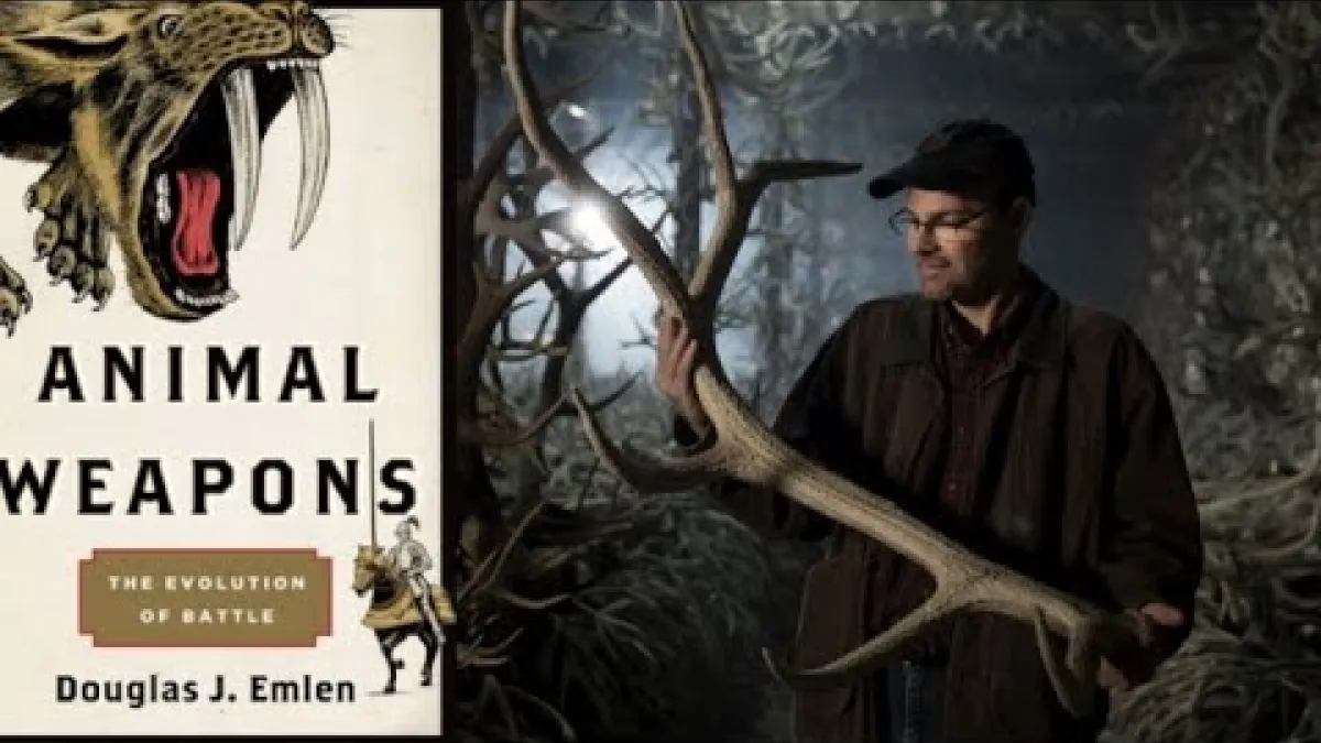 Preview image for the video "Recorded seminar (Douglas  Emlen)".