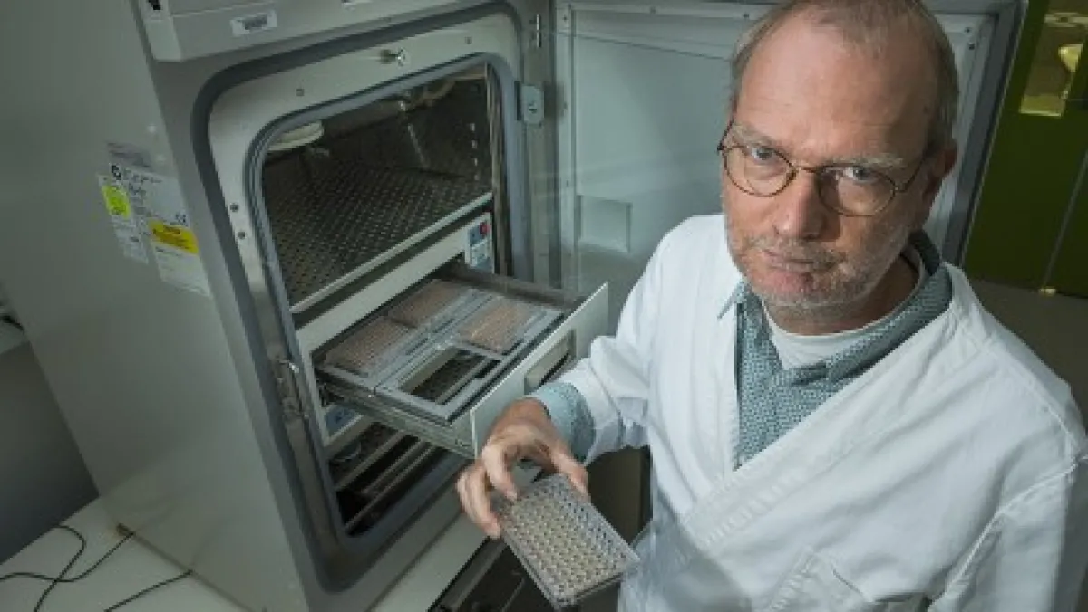 Professor Stefan Bröer