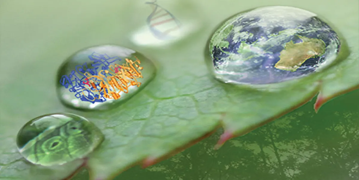 Three water droplets on a leaf, each containing a different image: DNA strands, fiery text, and the Earth.