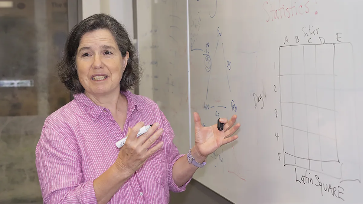 Dr Terry Neeman explains why statistics help biologists understand the world