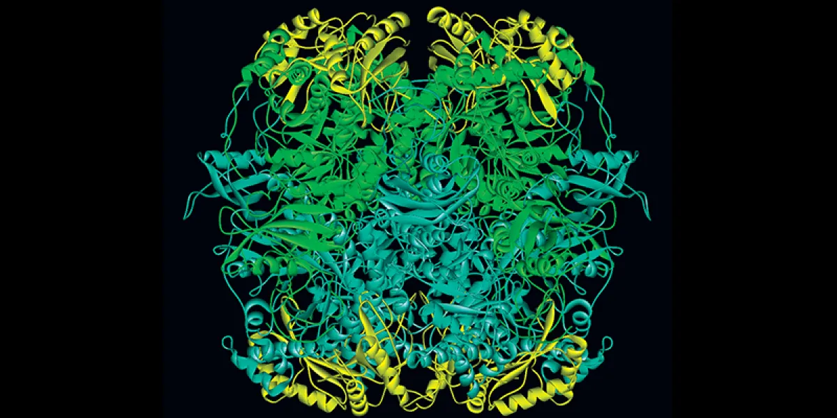 A digital illustration of a complex, detailed molecular structure in shades of green and yellow against a black background.