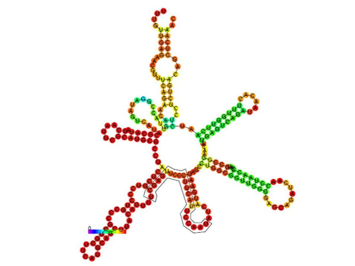 A colorful stick figure constructed from arranged circular beads of varying colors on a white background.