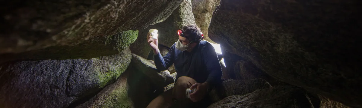 PhD student Jesse Wallace searches for Bogong Moths near Dead Horse Gap in Kosciuszko National Park.