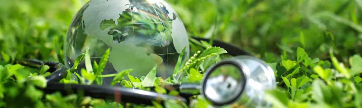 infographic of one health