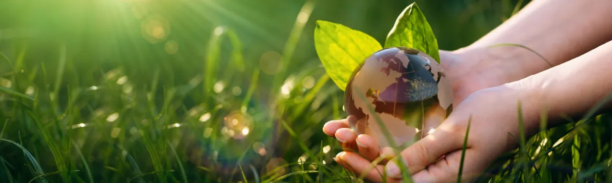 AdobeStock_489938402