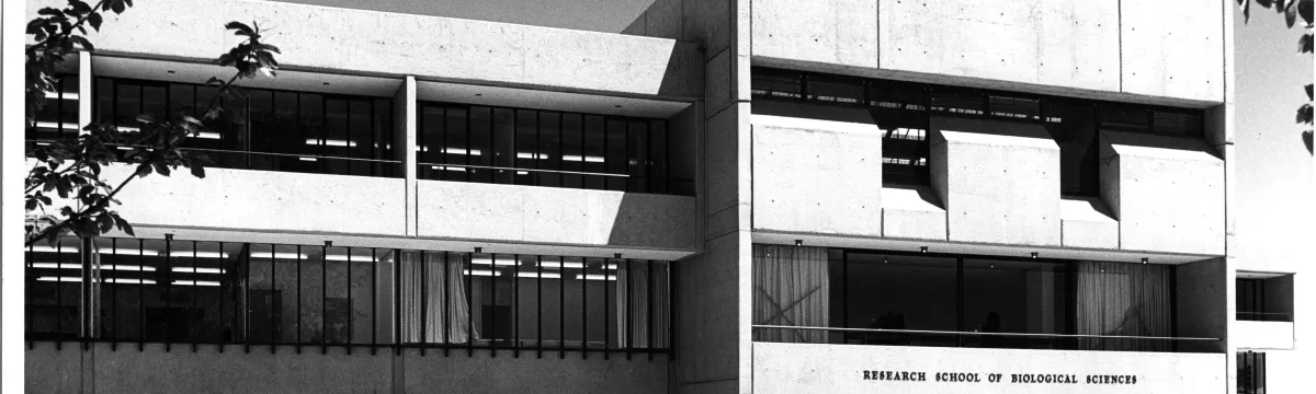 Historical photo of the RN Robertson Building