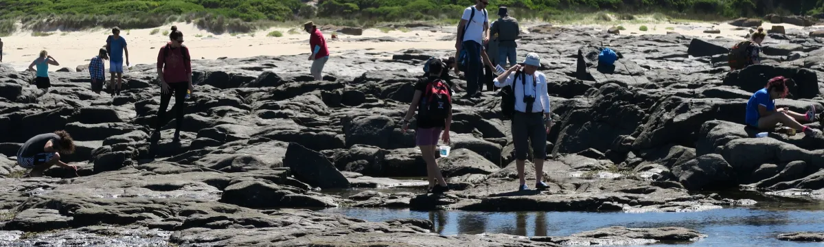 Kioloa fieldwork, students exploring the tidepools