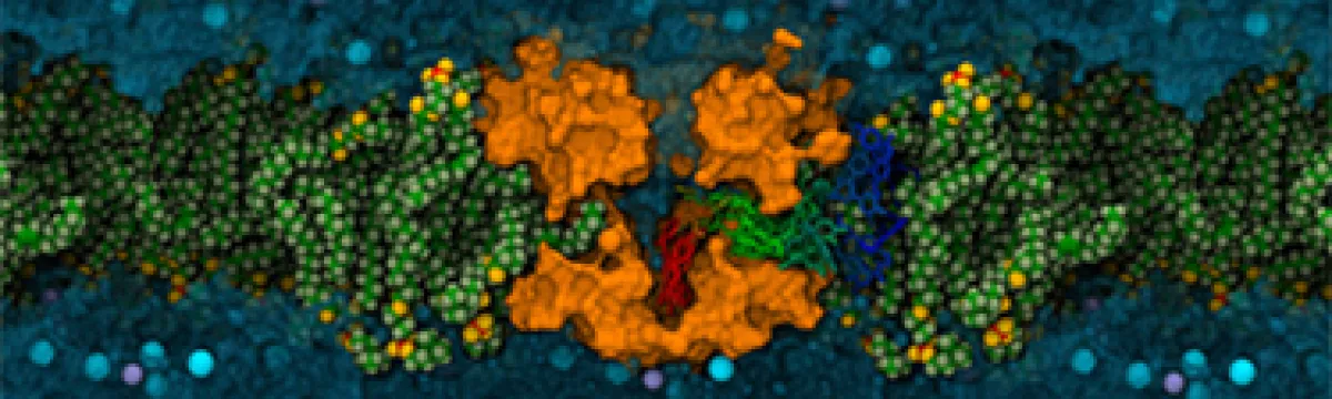 Scientific illustration of a molecular structure embedded in a cellular membrane, highlighted by colorful molecules and particles.