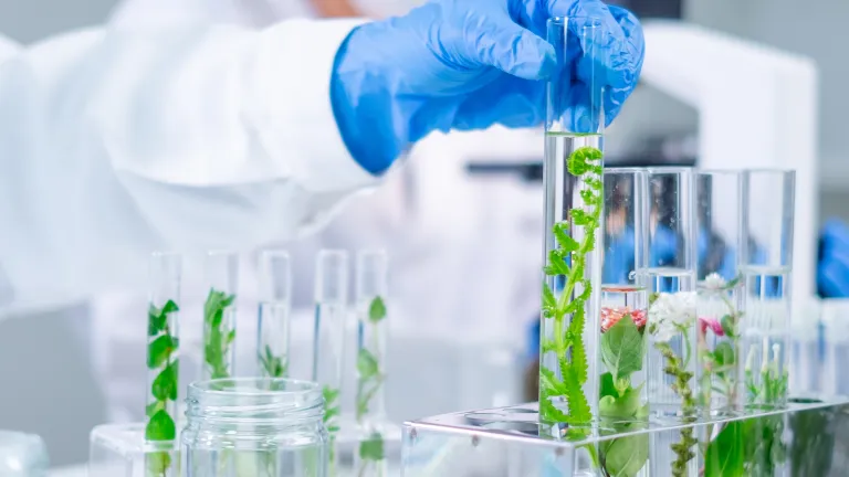 AdobeStock_644935733