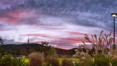 Panorama of ANU Campus