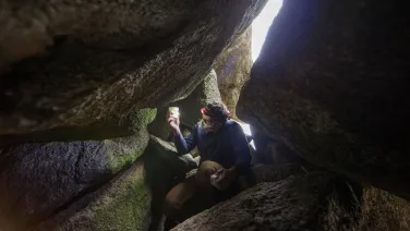 PhD student Jesse Wallace searches for Bogong Moths near Dead Horse Gap in Kosciuszko National Park.