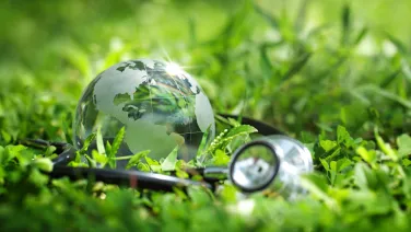 infographic of one health