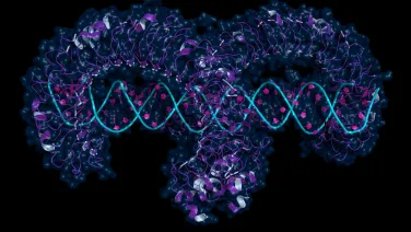 Toll-like receptor 3 (TLR3) ectodomain bound to double-stranded RNA. Photo: petarg/stock.adobe.com