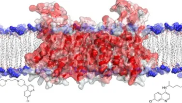 A digital molecular model showing a complex protein embedded within a cellular membrane, surrounded by blue and red molecules, with chemical structures displayed below.