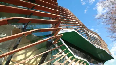 Linnaeus Building 134