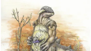 Image supplied by Dr Dan Warren, CSU