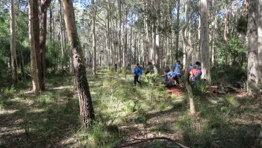 Kioloa fieldwork