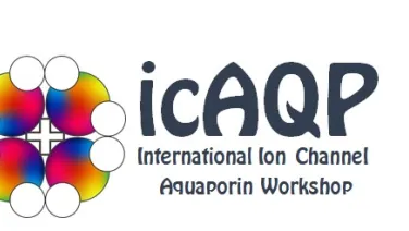 Logo for the International Ion Channel Aquaporin Workshop, featuring the acronym &quot;iCAQP&quot; in stylized letters and a graphic of colorful spheres arranged around a cross.